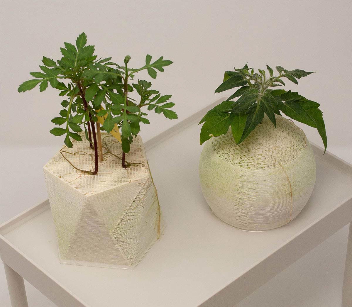 بستر های چاپ سه بعدی شده برای کشت گیاهان بدون خاک