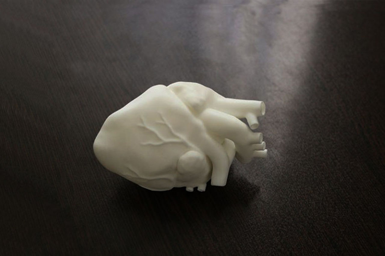پرینت سه بعدی مدل قلب