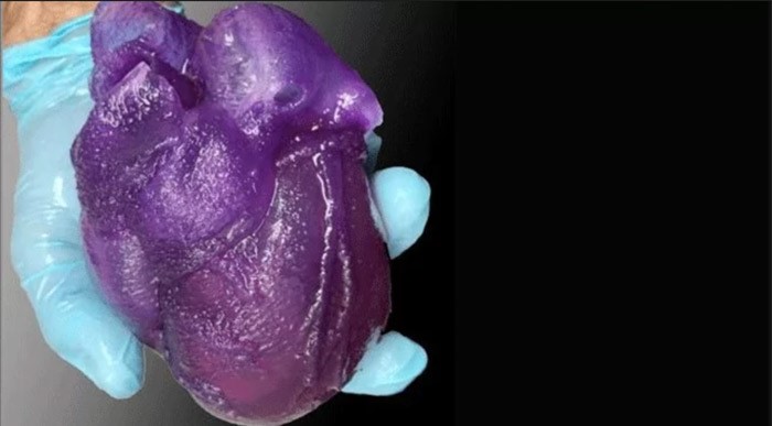 توسعه یک مدل قلب با استفاده از تکنولوژی پرینت سه بعدی