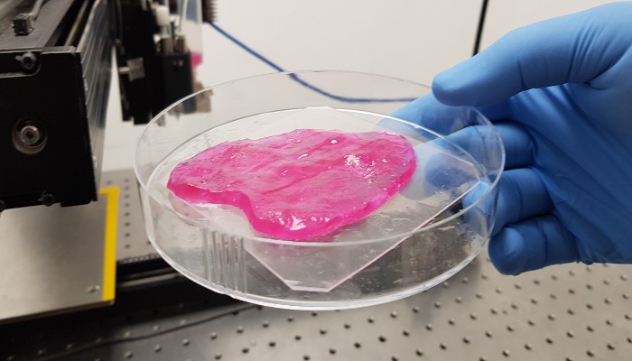 تولید انبوه گوشت پرینت سه بعدی شده توسط شرکت MeaTech
