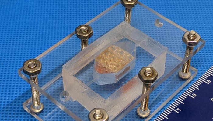 توسعه بافت های کبدی انسان با استفاده از تکنولوژی پرینت سه بعدی زیستی