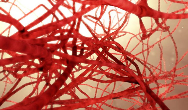 پرینت سه بعدی شبکه ای از رگ های خون
