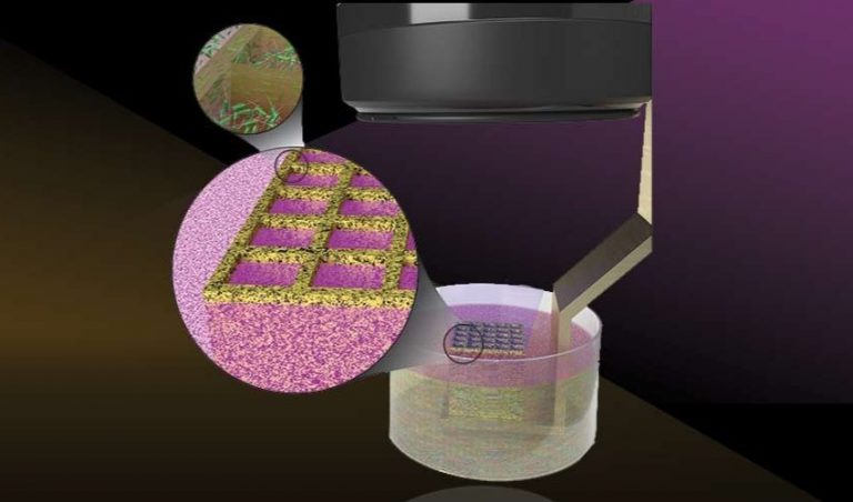 پرینت سه بعدی میکروب های زنده