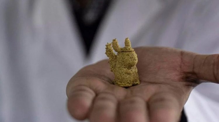 پرینت سه بعدی غذای کودکان از جلبک
