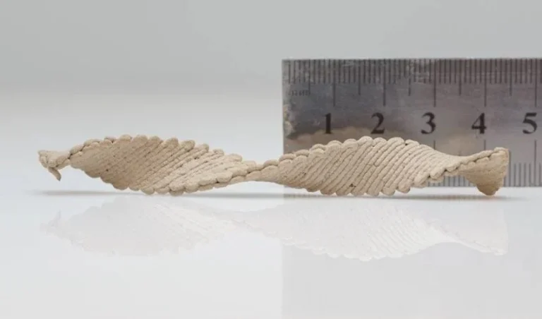 نوآوری جدید در پرینت سه بعدی چوب