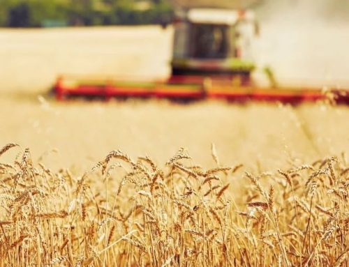 پرینت سه‌بعدی و کشاورزی: افق‌های نو در زراعت